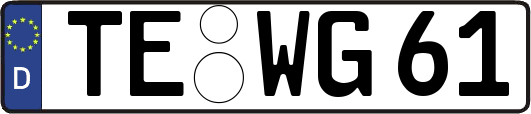 TE-WG61