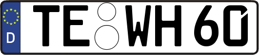 TE-WH60