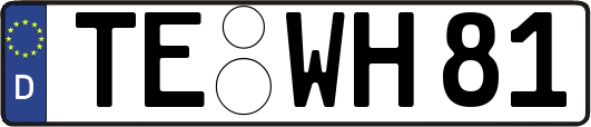 TE-WH81