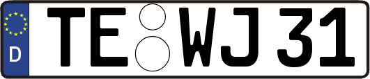 TE-WJ31