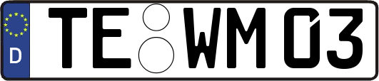 TE-WM03
