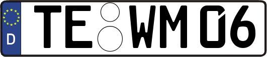 TE-WM06