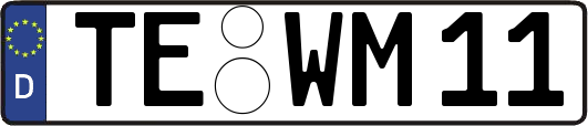 TE-WM11