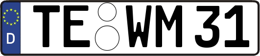 TE-WM31
