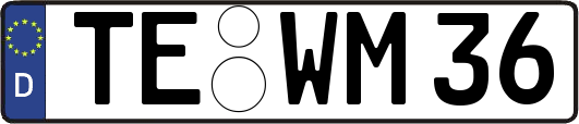 TE-WM36