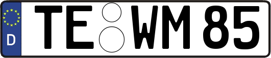 TE-WM85