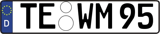 TE-WM95
