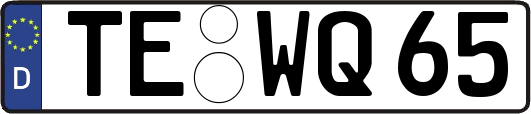 TE-WQ65