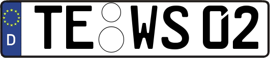 TE-WS02