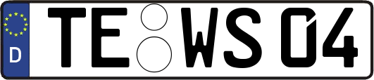 TE-WS04