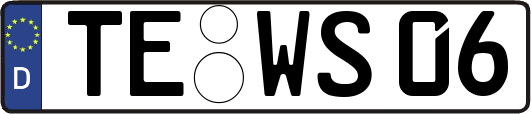 TE-WS06