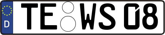 TE-WS08