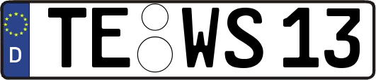TE-WS13