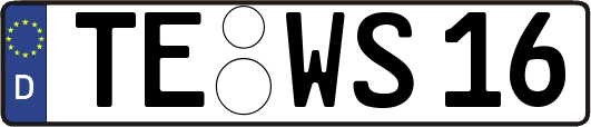 TE-WS16