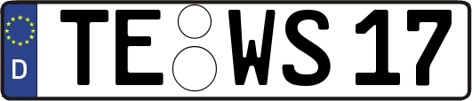 TE-WS17