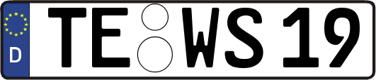 TE-WS19