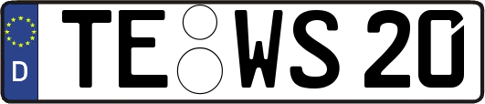 TE-WS20