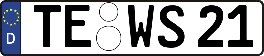 TE-WS21