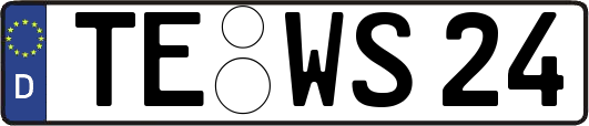 TE-WS24