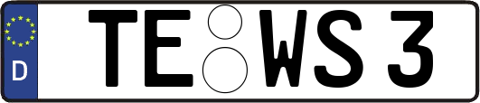TE-WS3