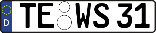 TE-WS31