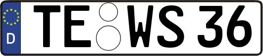 TE-WS36