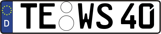 TE-WS40