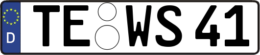 TE-WS41