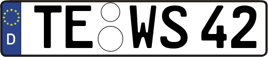 TE-WS42
