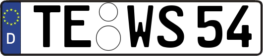 TE-WS54