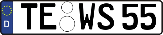 TE-WS55