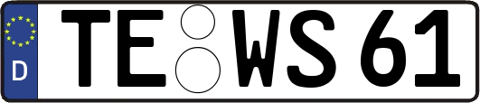 TE-WS61