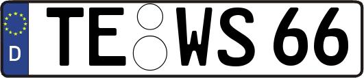 TE-WS66