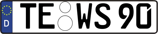 TE-WS90