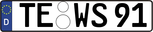 TE-WS91