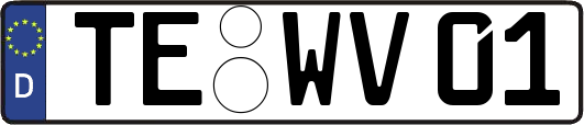 TE-WV01