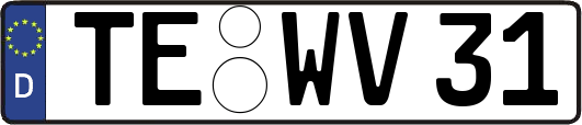 TE-WV31