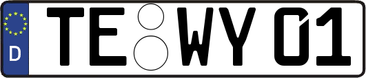 TE-WY01