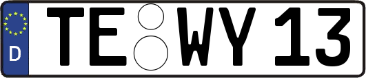 TE-WY13