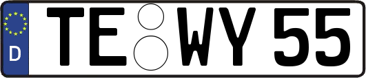 TE-WY55