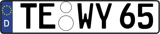 TE-WY65