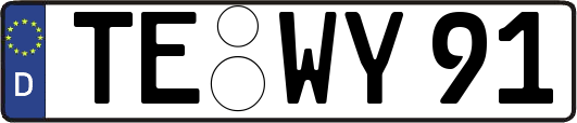 TE-WY91