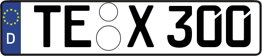 TE-X300