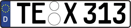 TE-X313