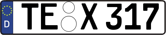 TE-X317