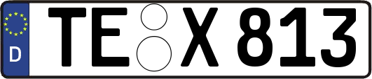 TE-X813