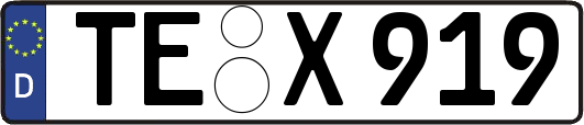 TE-X919