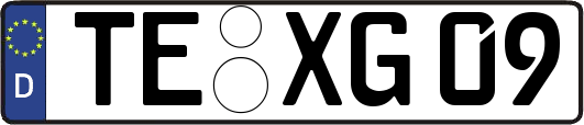 TE-XG09