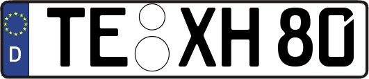 TE-XH80