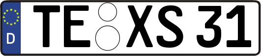 TE-XS31